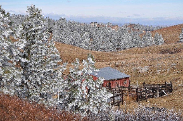 Black-Hills-SD/640x480_Frost near Rapid City.jpg